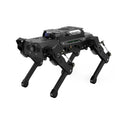 AI Quadruped Robot Dog with SLAM Navigation