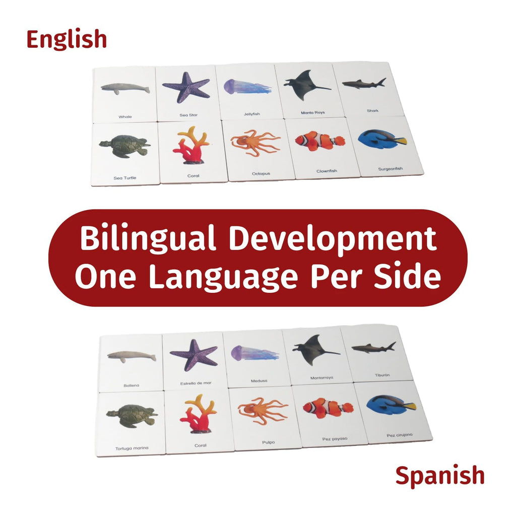 Ecosystem/English, Spanish