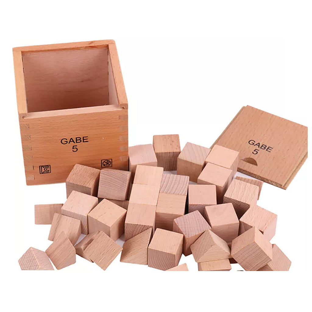 Froebel Wooden Building Blocks Set