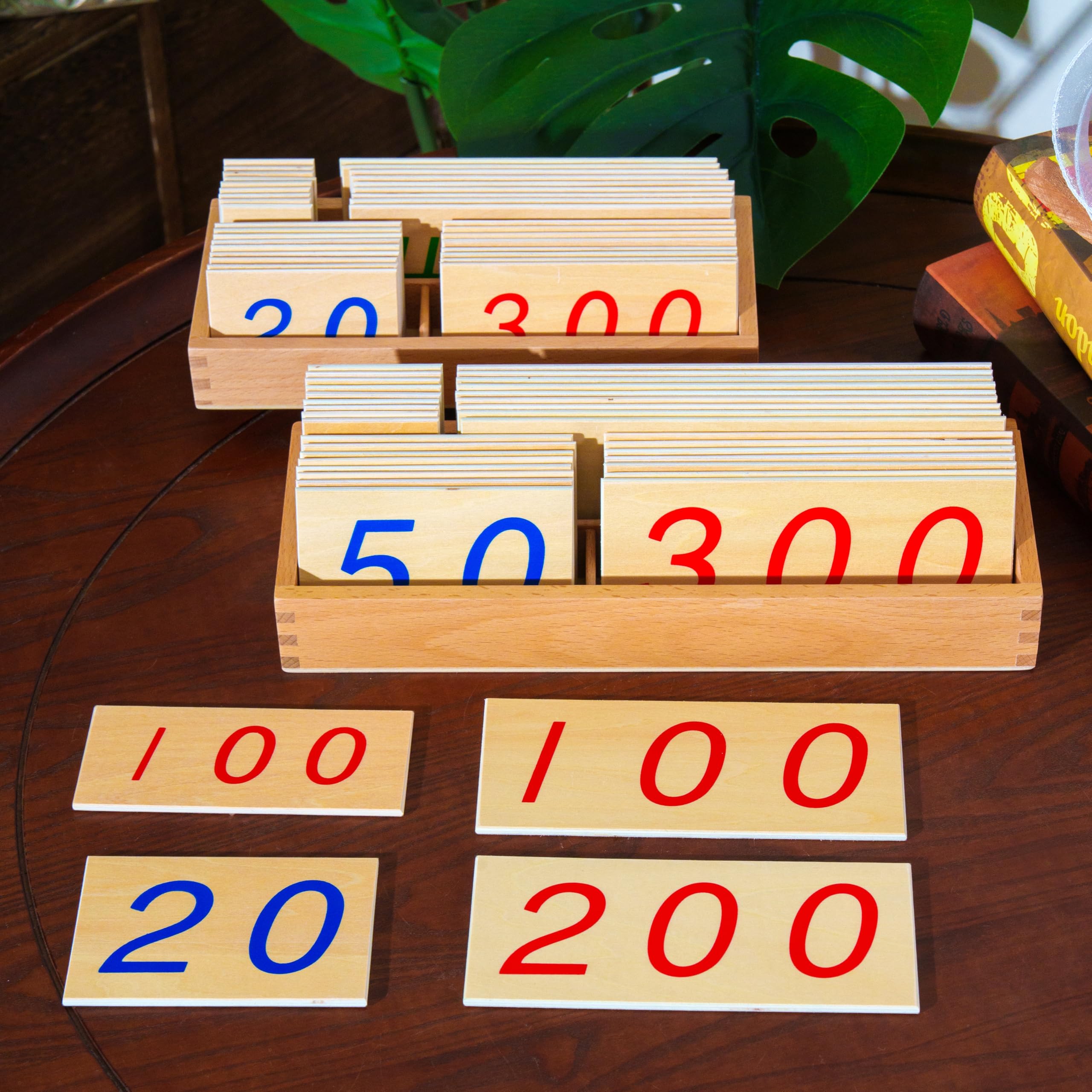 Montessori Curriculum Learning Set Ages 3–12