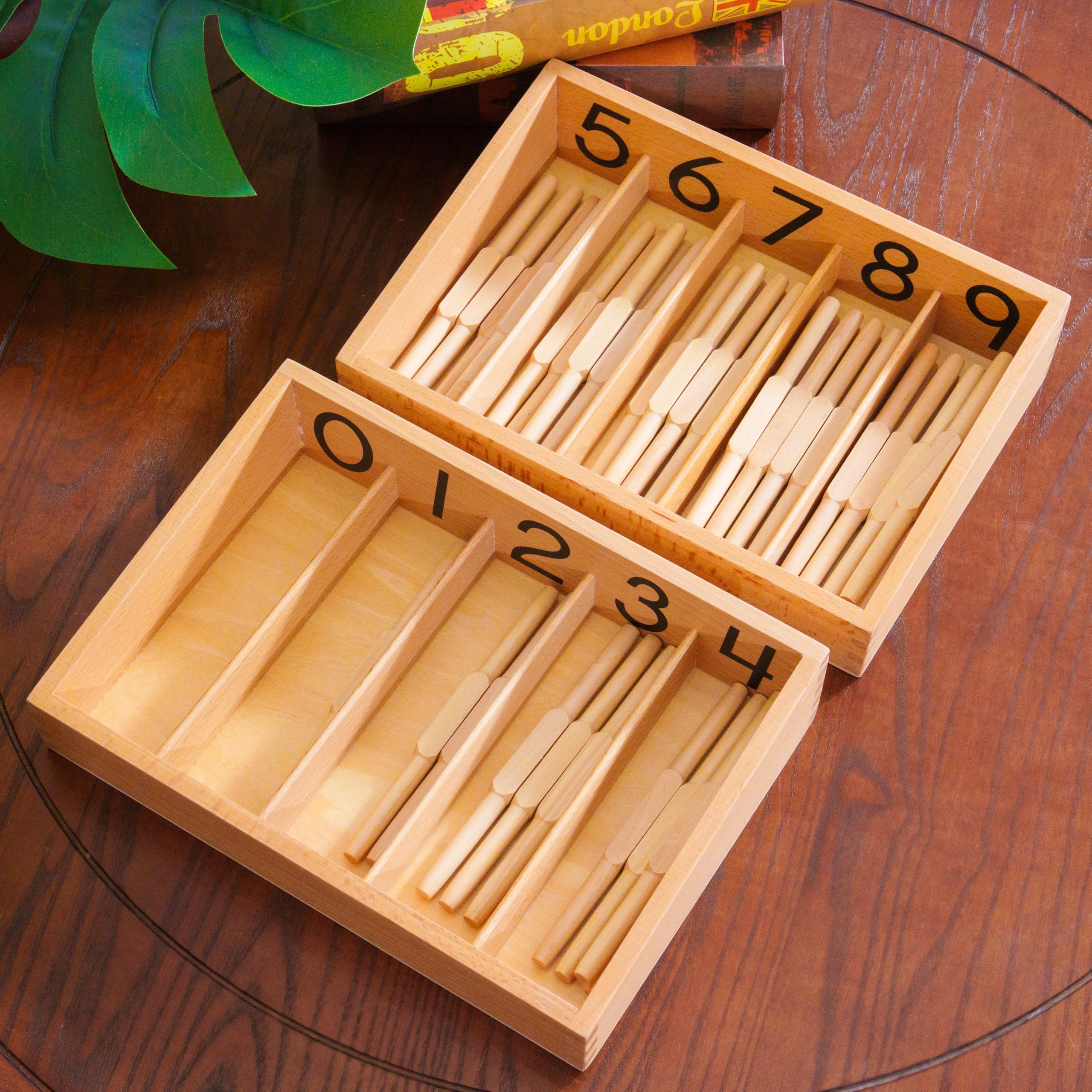 Montessori Curriculum Learning Set Ages 3–12