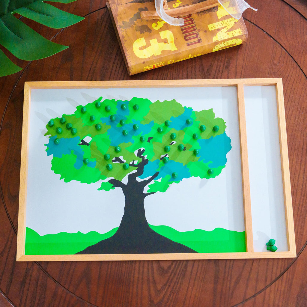 Montessori Curriculum Learning Set Ages 3–12